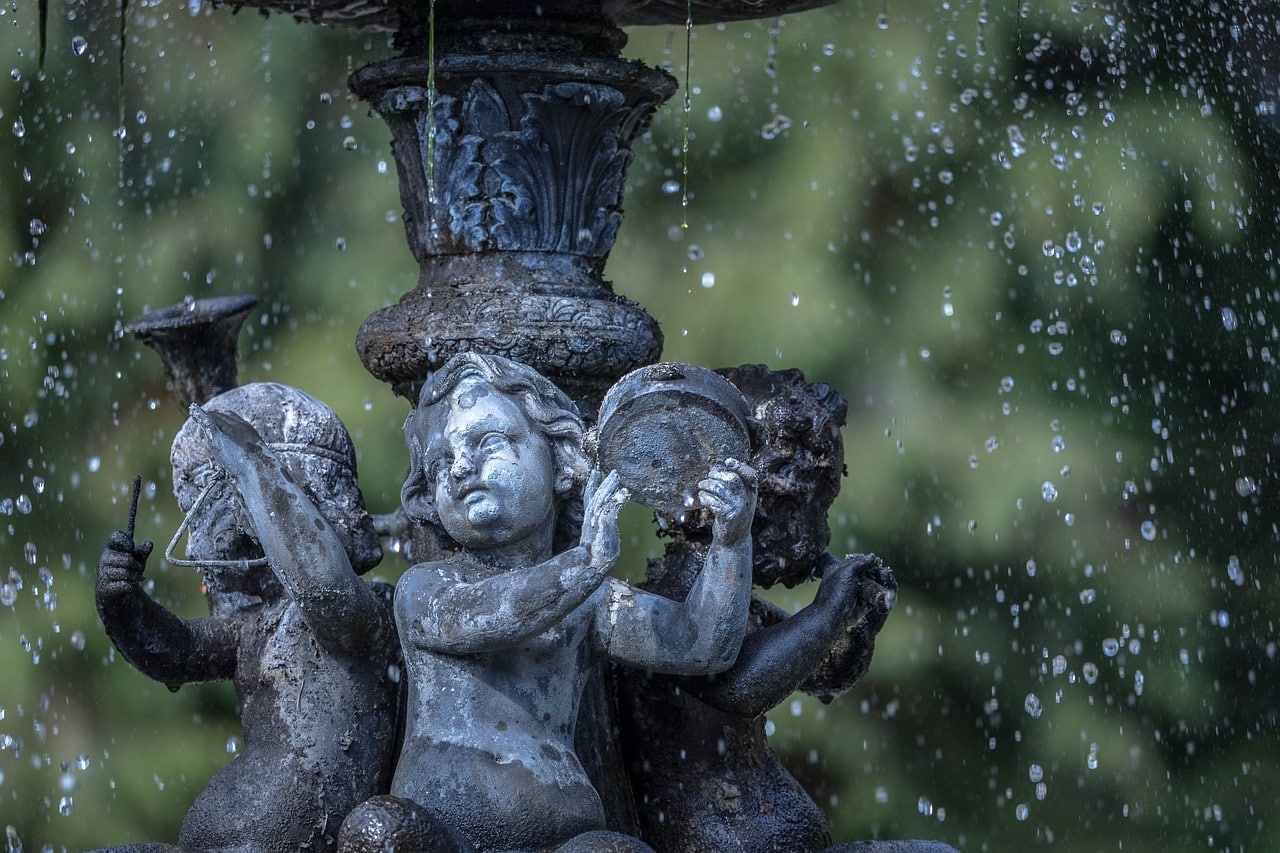 découvrez l'art de l'installation de jardins aquatiques avec des conseils d'experts, des astuces pour choisir les plantes et les éléments décoratifs, et transformez votre espace extérieur en un havre de paix aquatique.